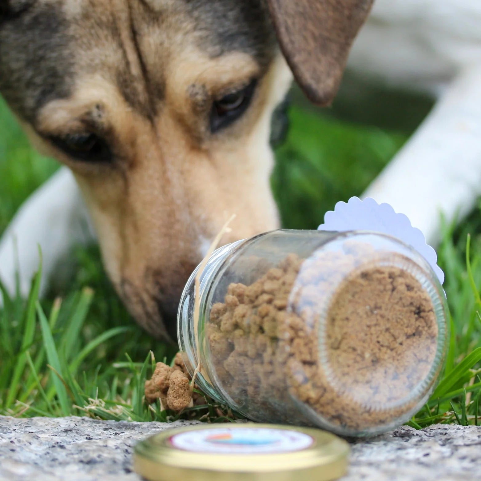 Dehydrated chicken crumble for dogs and cats