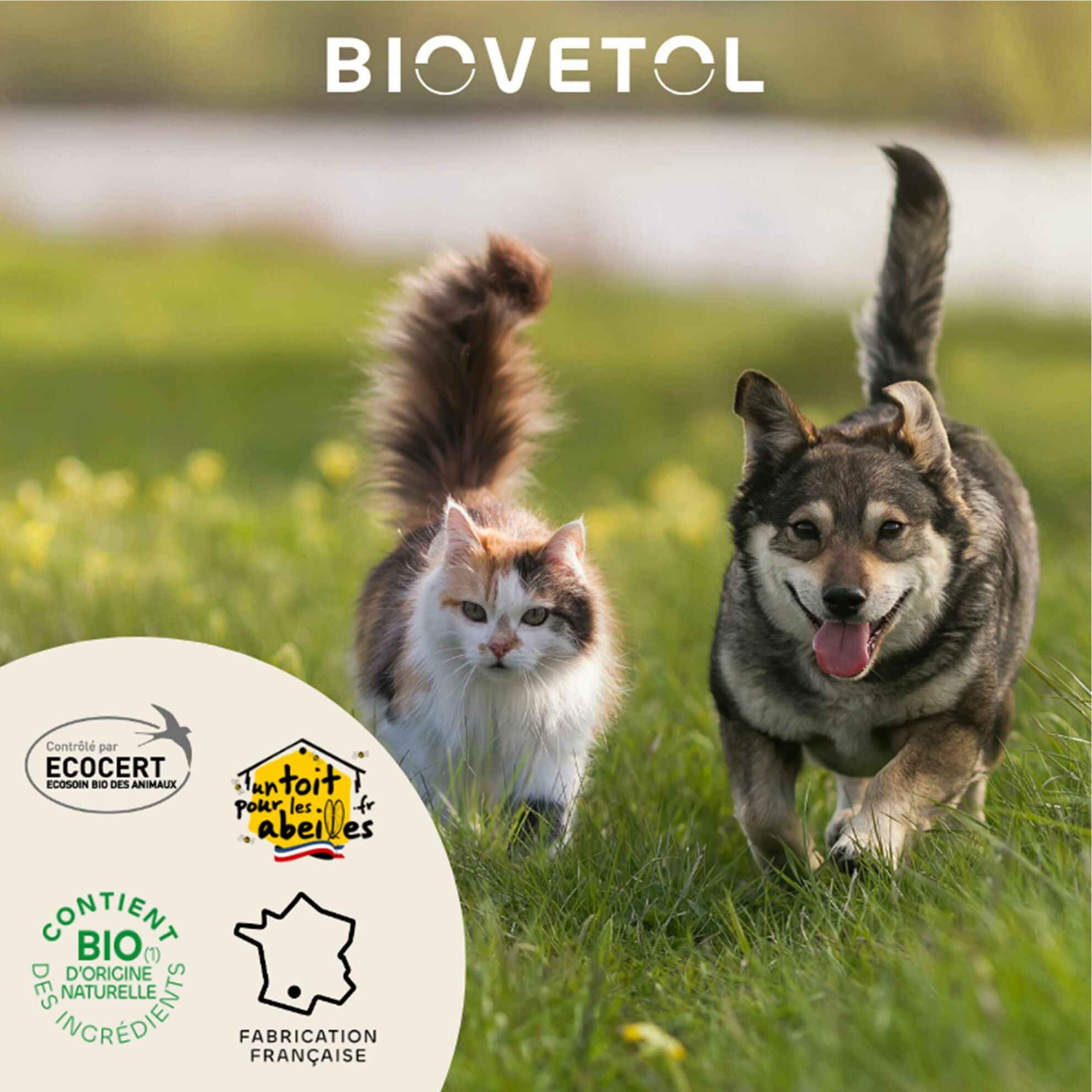 Lotion oreilles aux eaux florales bio