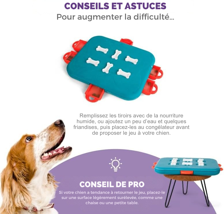 Dog Casino puzzle game level 3 for dogs
