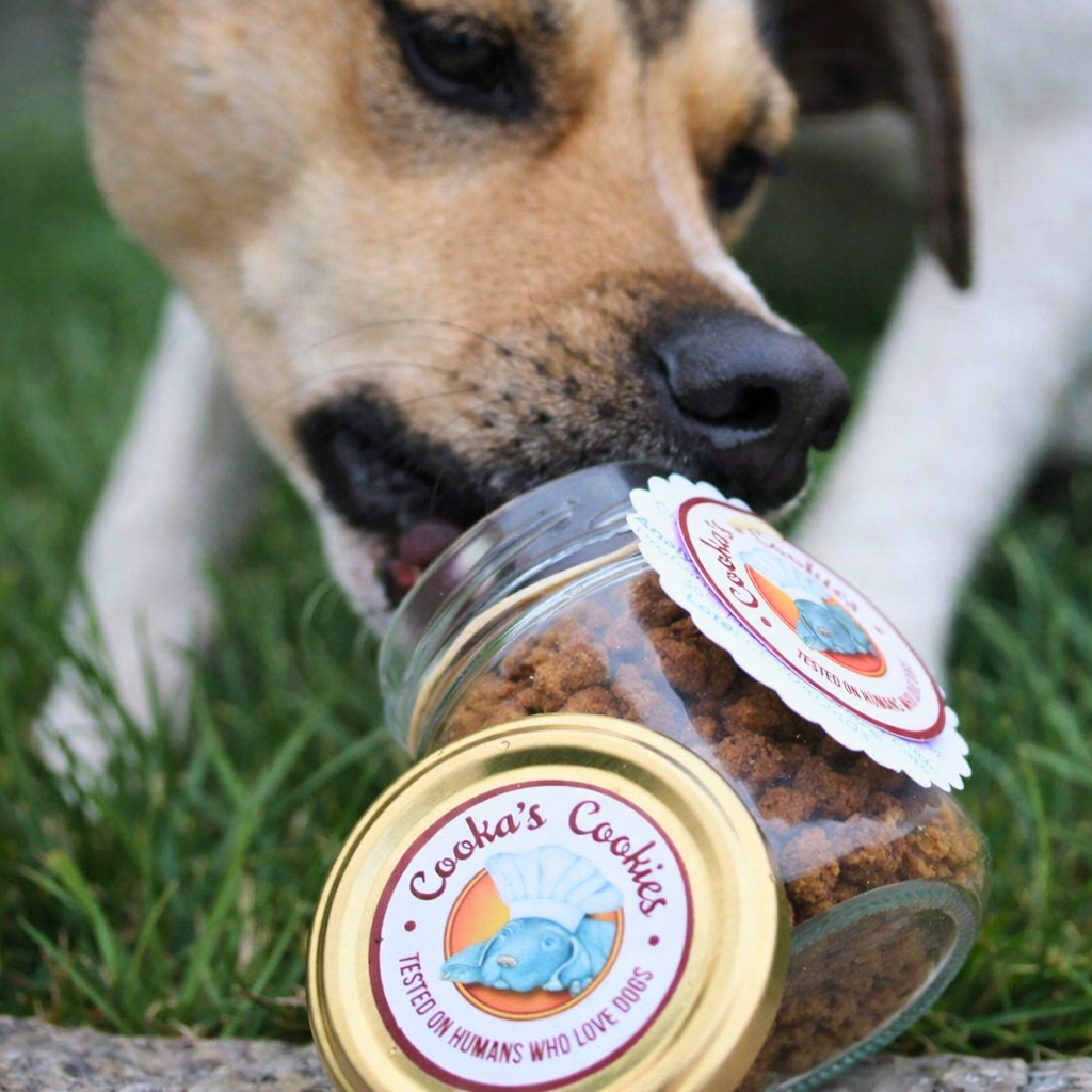 Dehydrated chicken crumble for dogs and cats