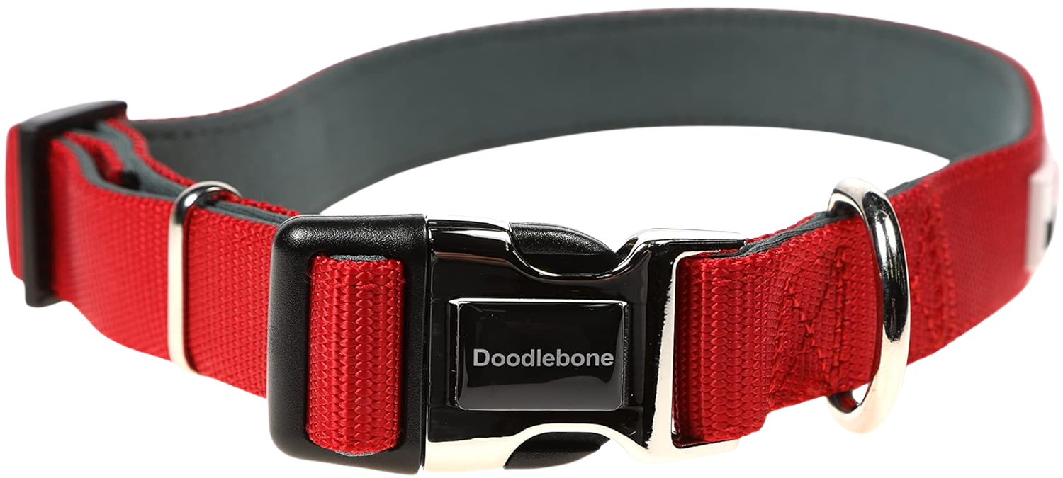 Collier réglable rembourré