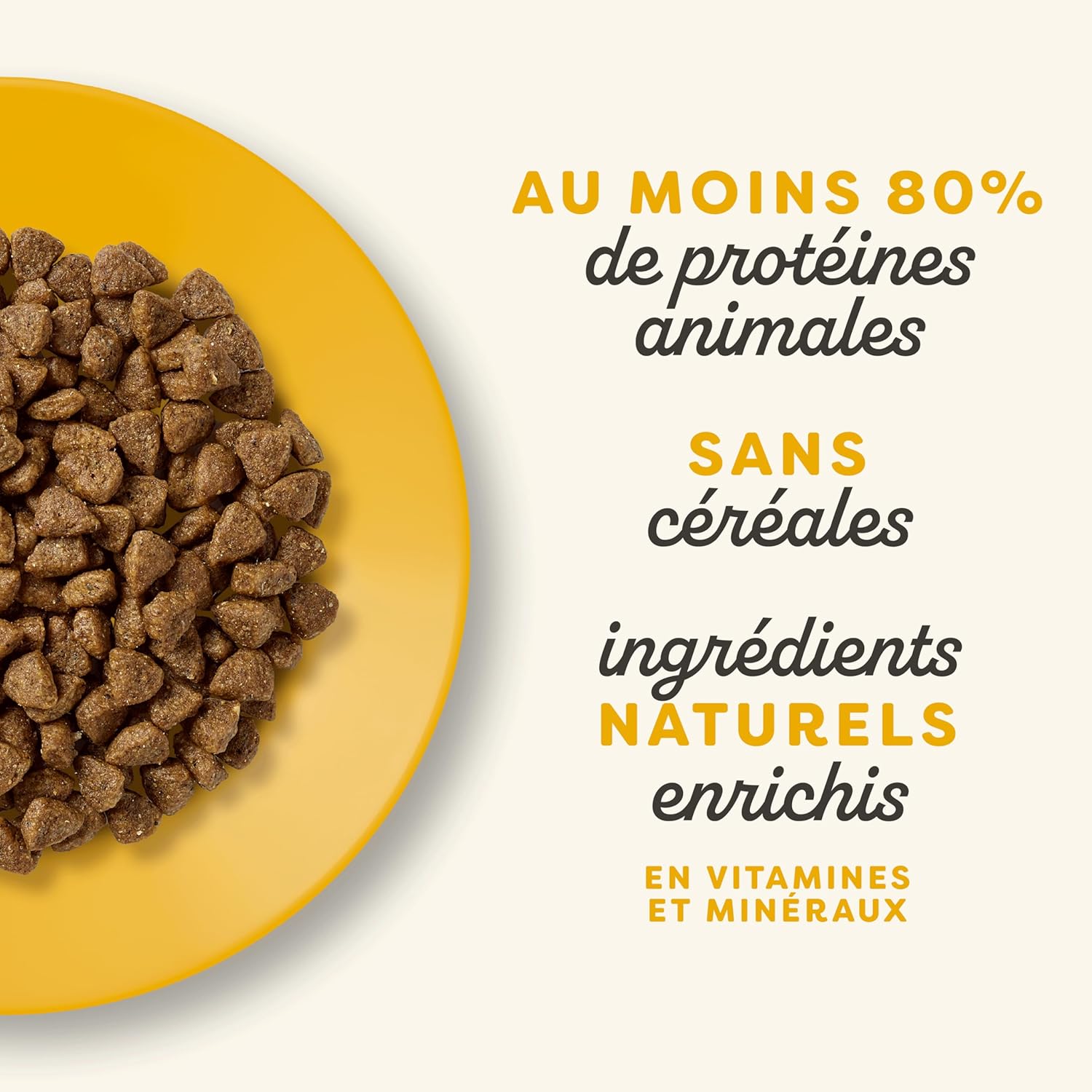 Croquettes au poulet pour chatons