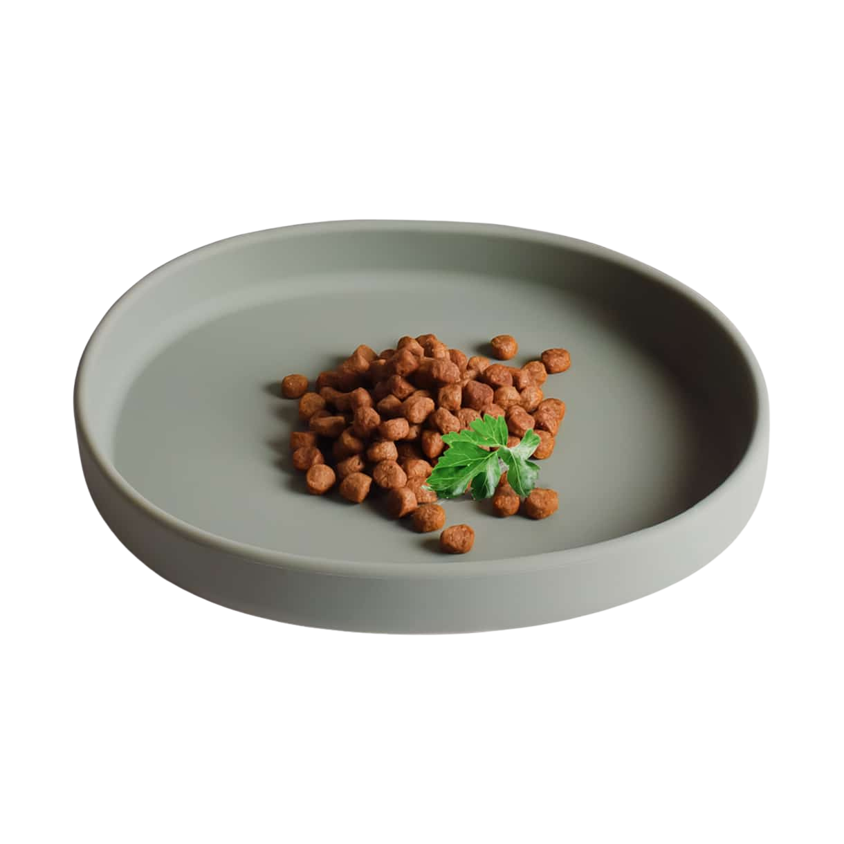 Gamelle plate en silicone