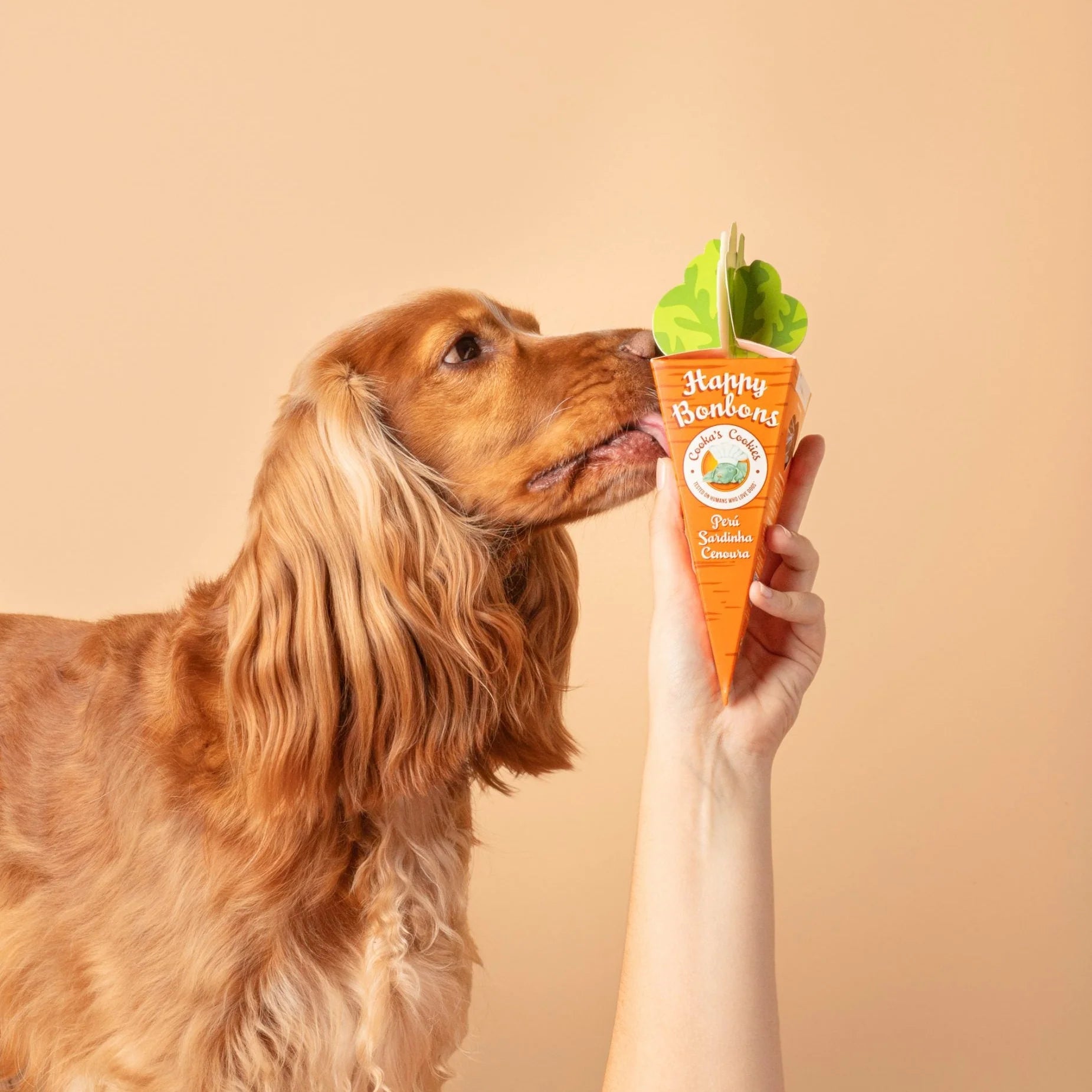 Friandises croquantes dinde et sardine