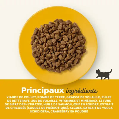 Croquettes au poulet pour chats seniors
