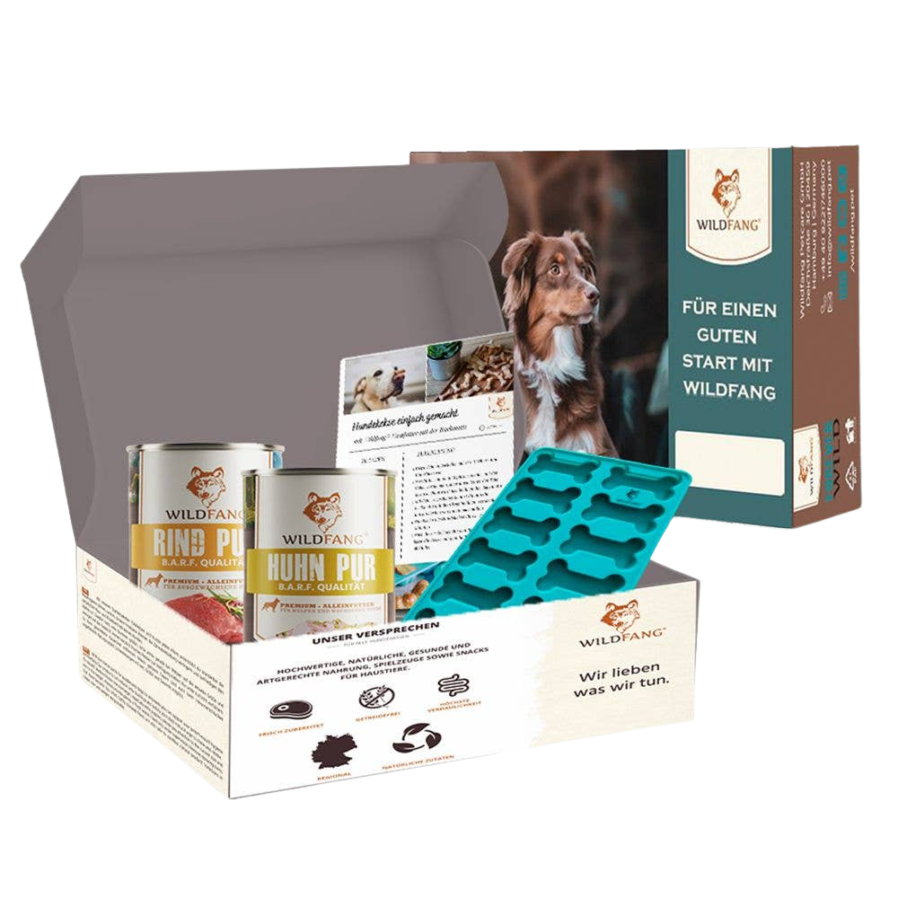 Coffret biscuits à cuire avec moule silicone