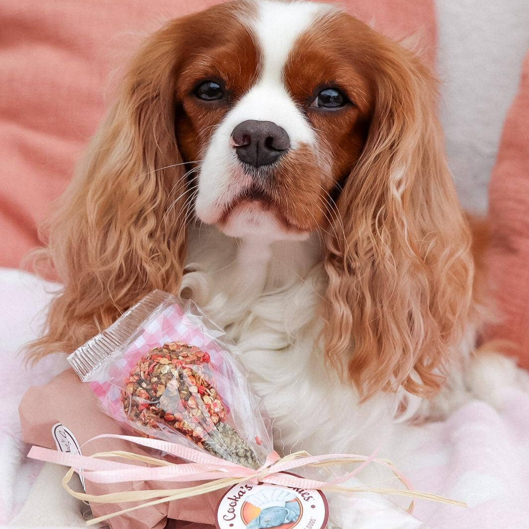 Friandise dinde et peau de morue pour chiens