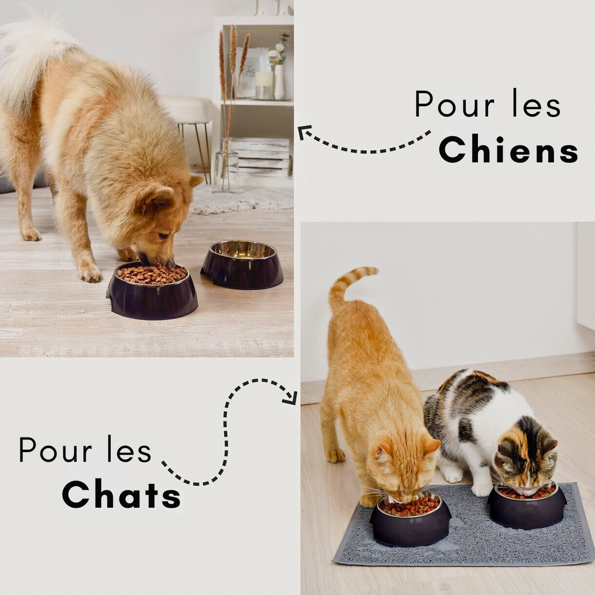 Lot de 2 gamelles mélamine & inox