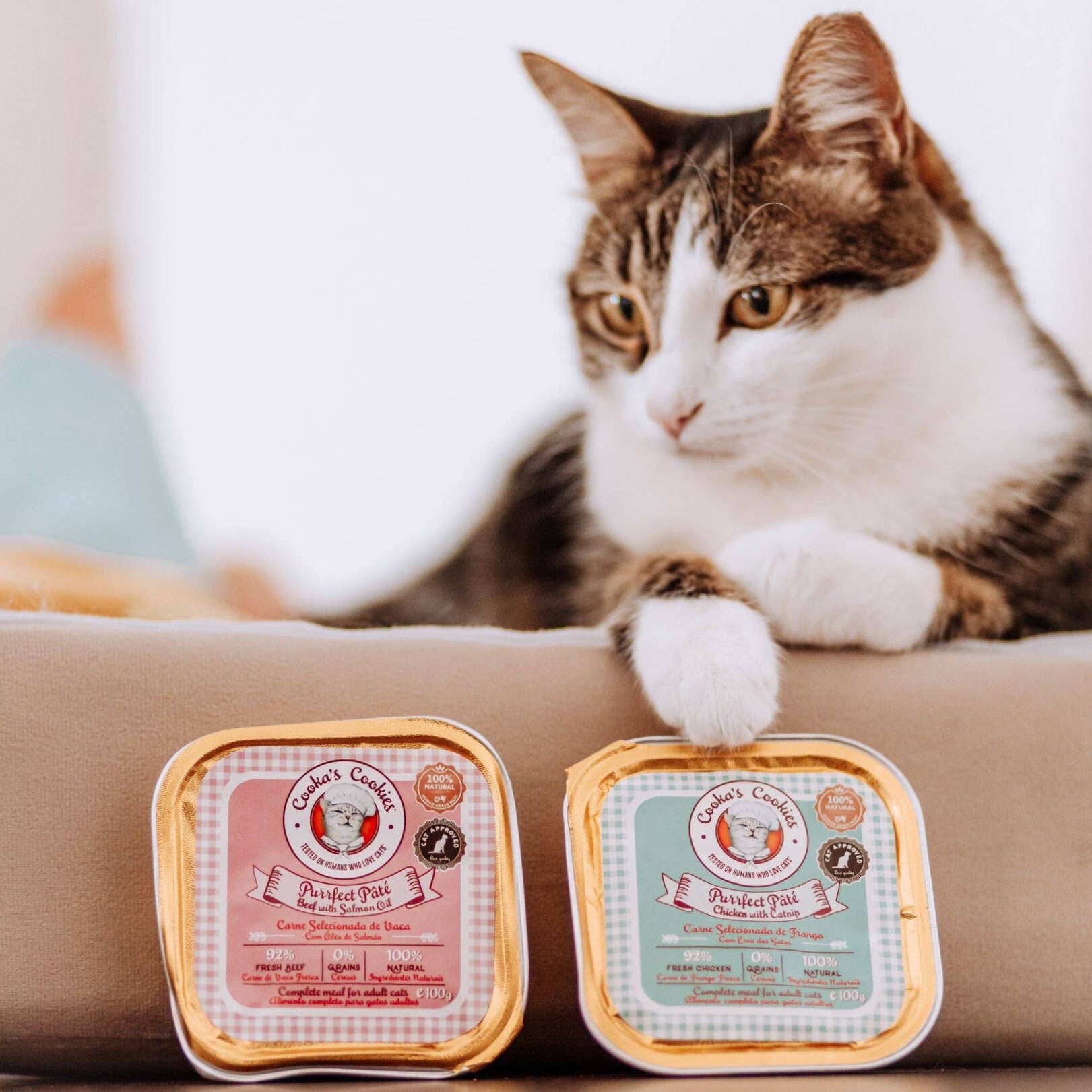 Pâté poulet & cataire