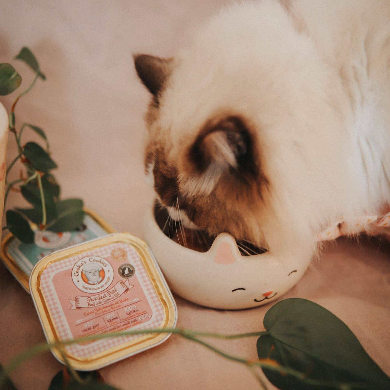 Pâté bœuf & huile de saumon