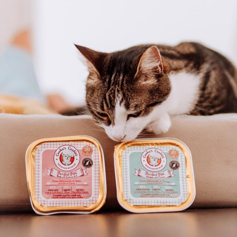 Pâté bœuf & huile de saumon