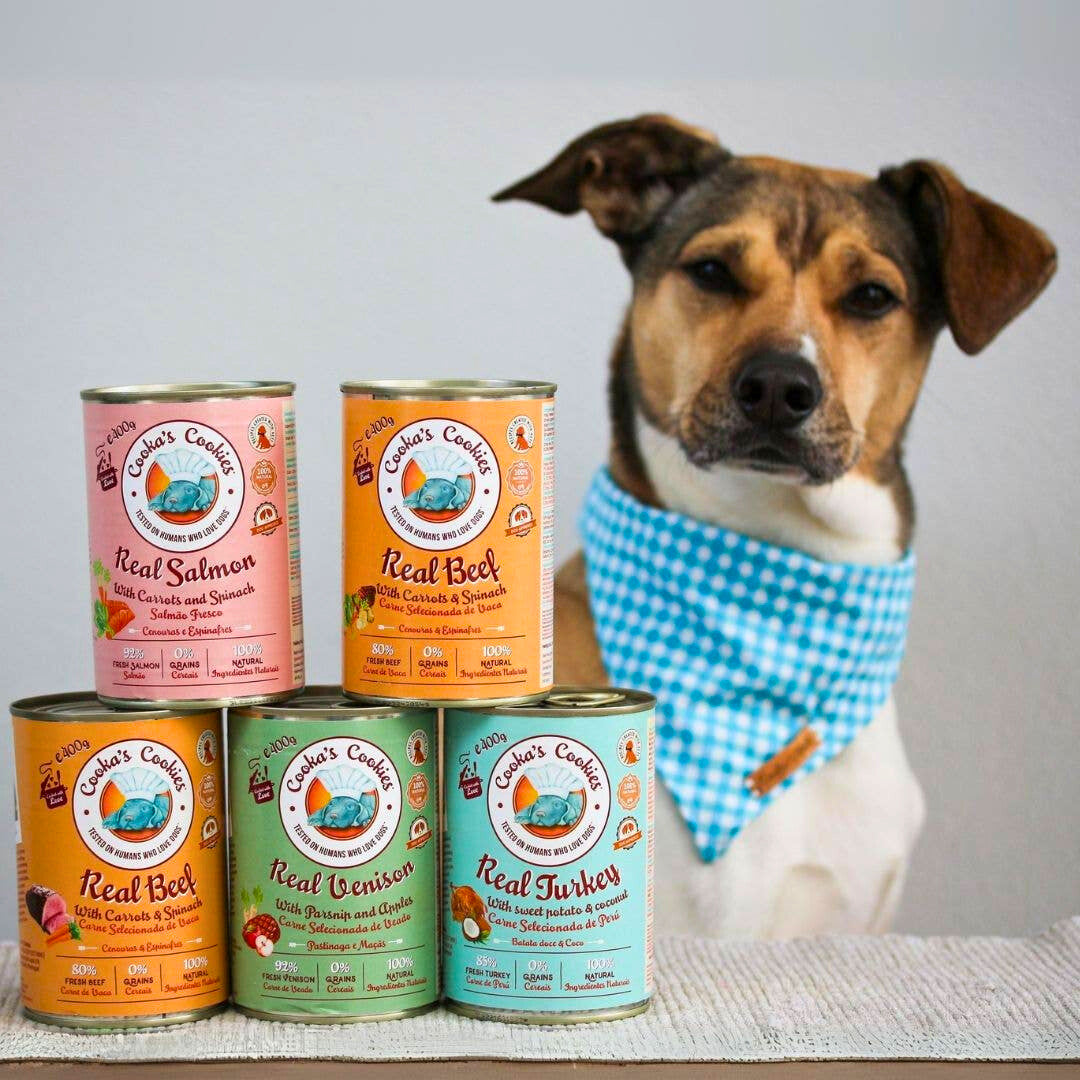 Pâté au bœuf frais avec carottes et épinards