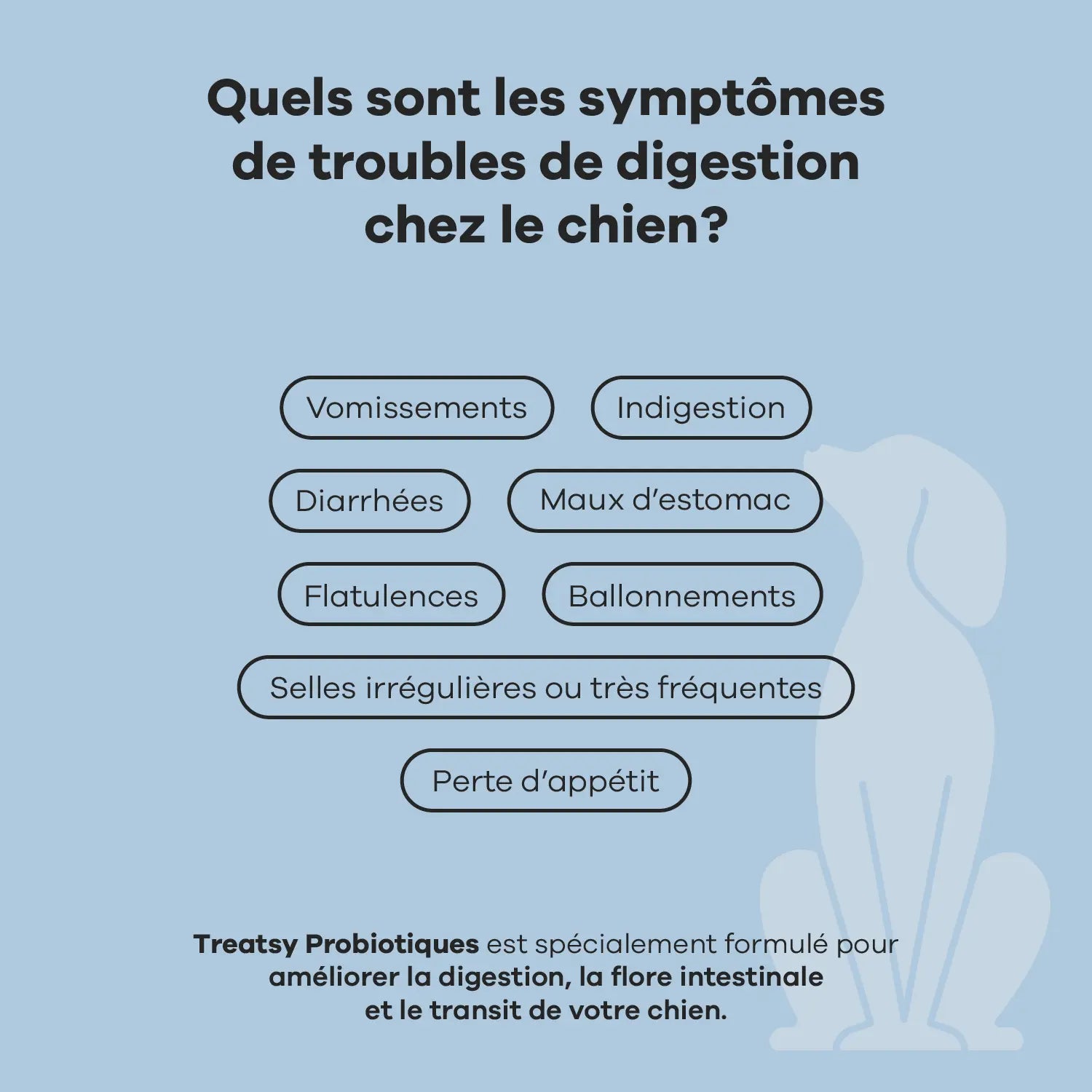 Bouchées moelleuses probiotiques – 30 pièces