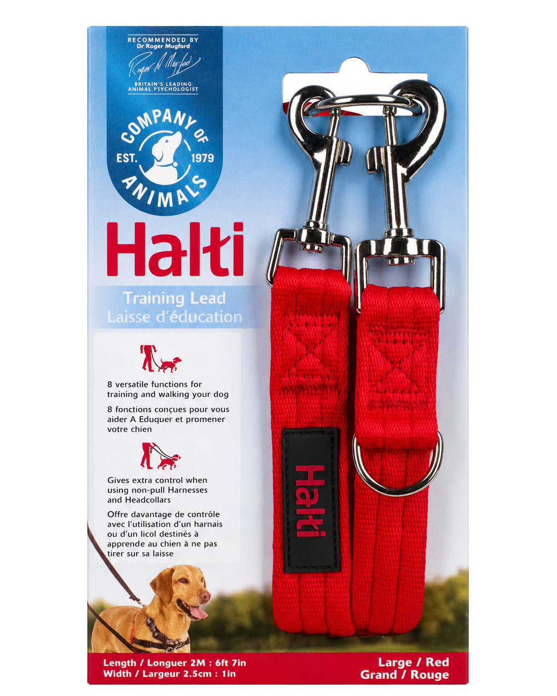 3-Position Dog Training Leash