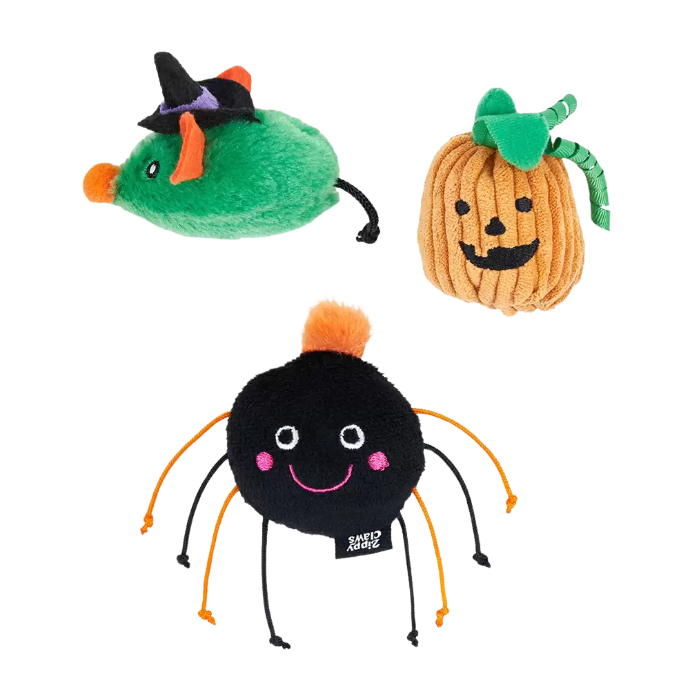 6-Pack Haunted Creatures Halloween Cat Toys