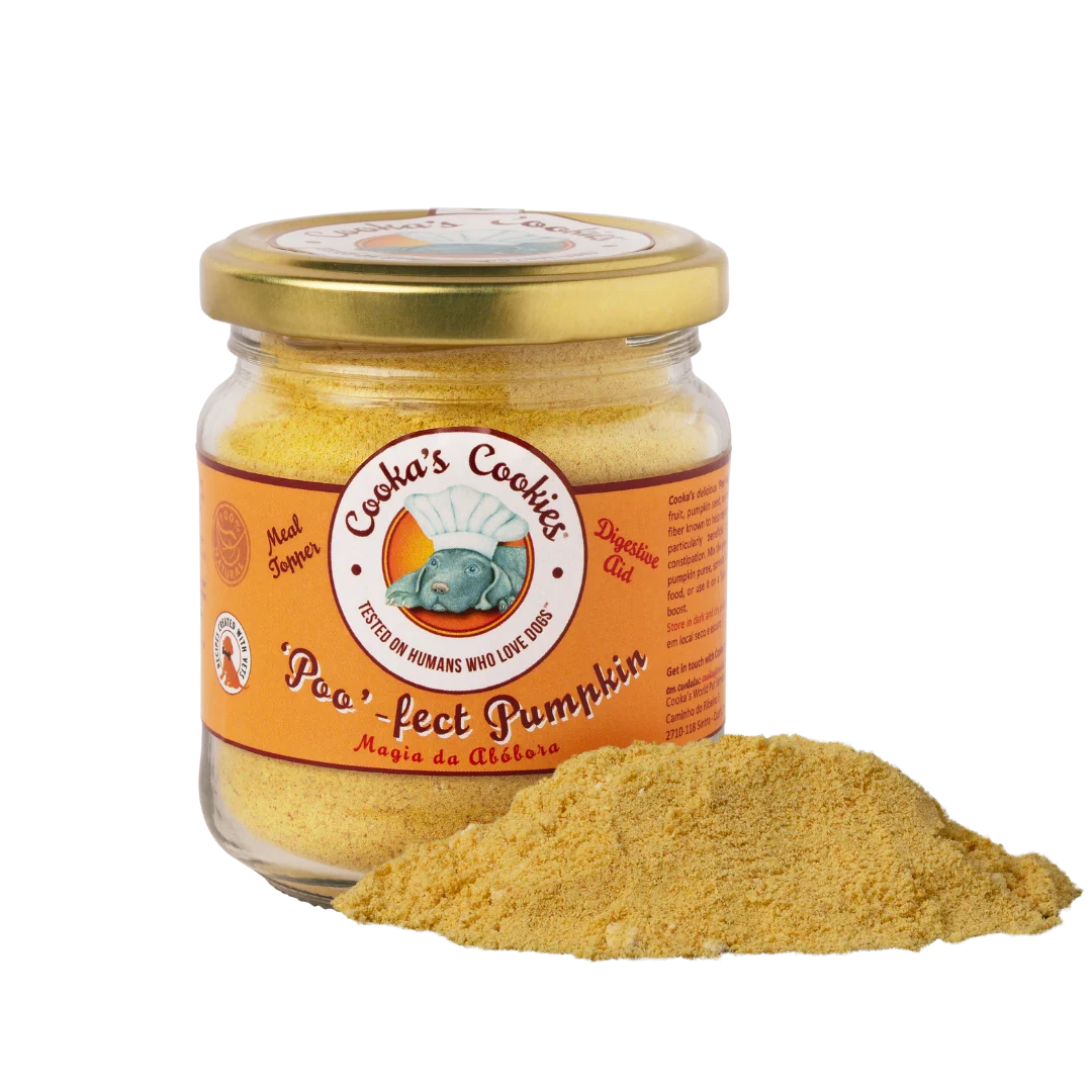 Pumpkin Topper for Dogs and Cats