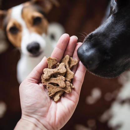 Crispy beef bone-shaped biscuits