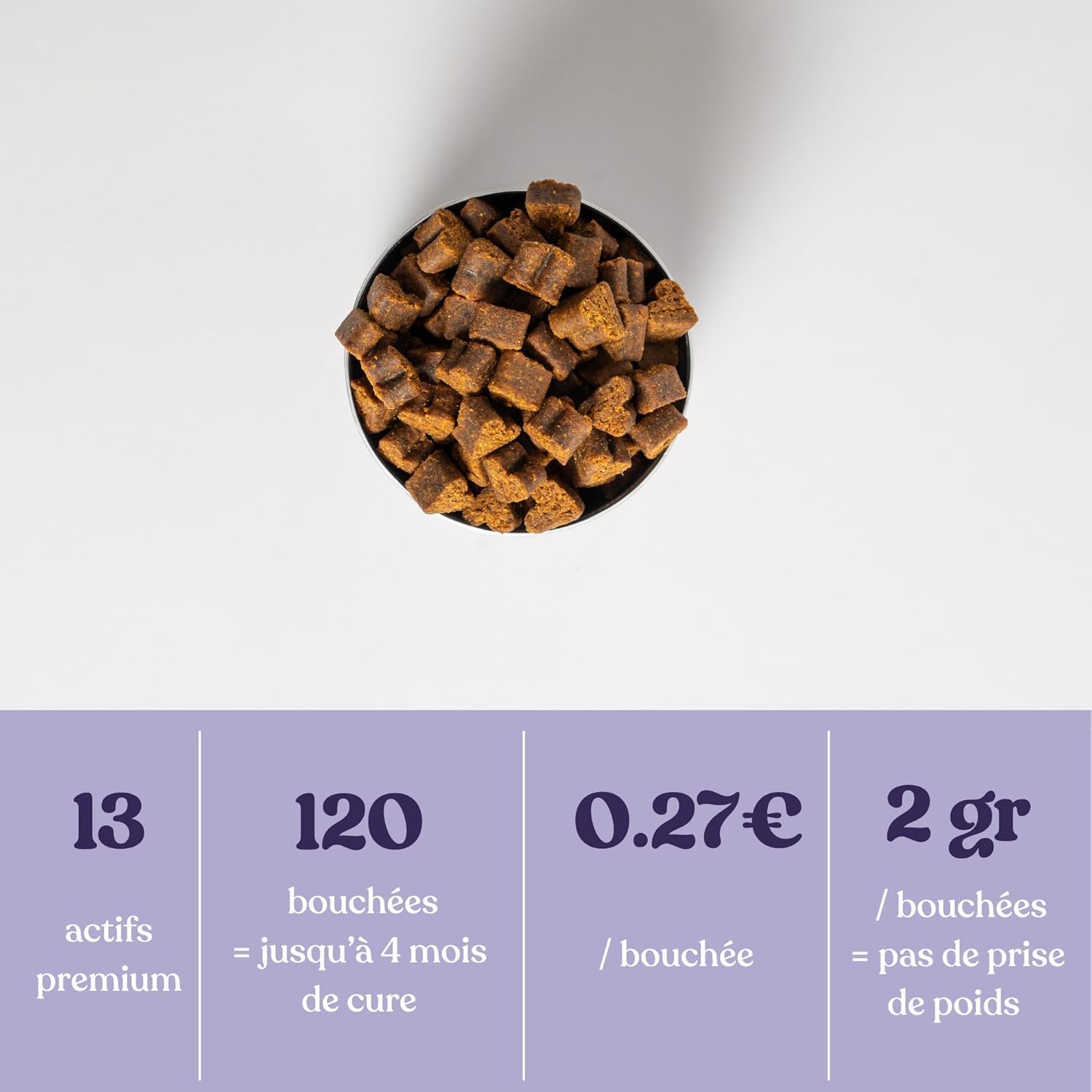 Complément alimentaire anti-stress pour chiens