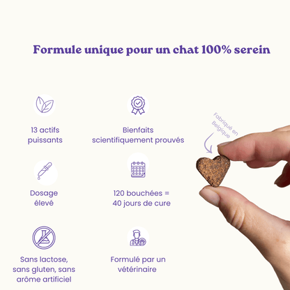 Complément alimentaire anti-stress pour chats