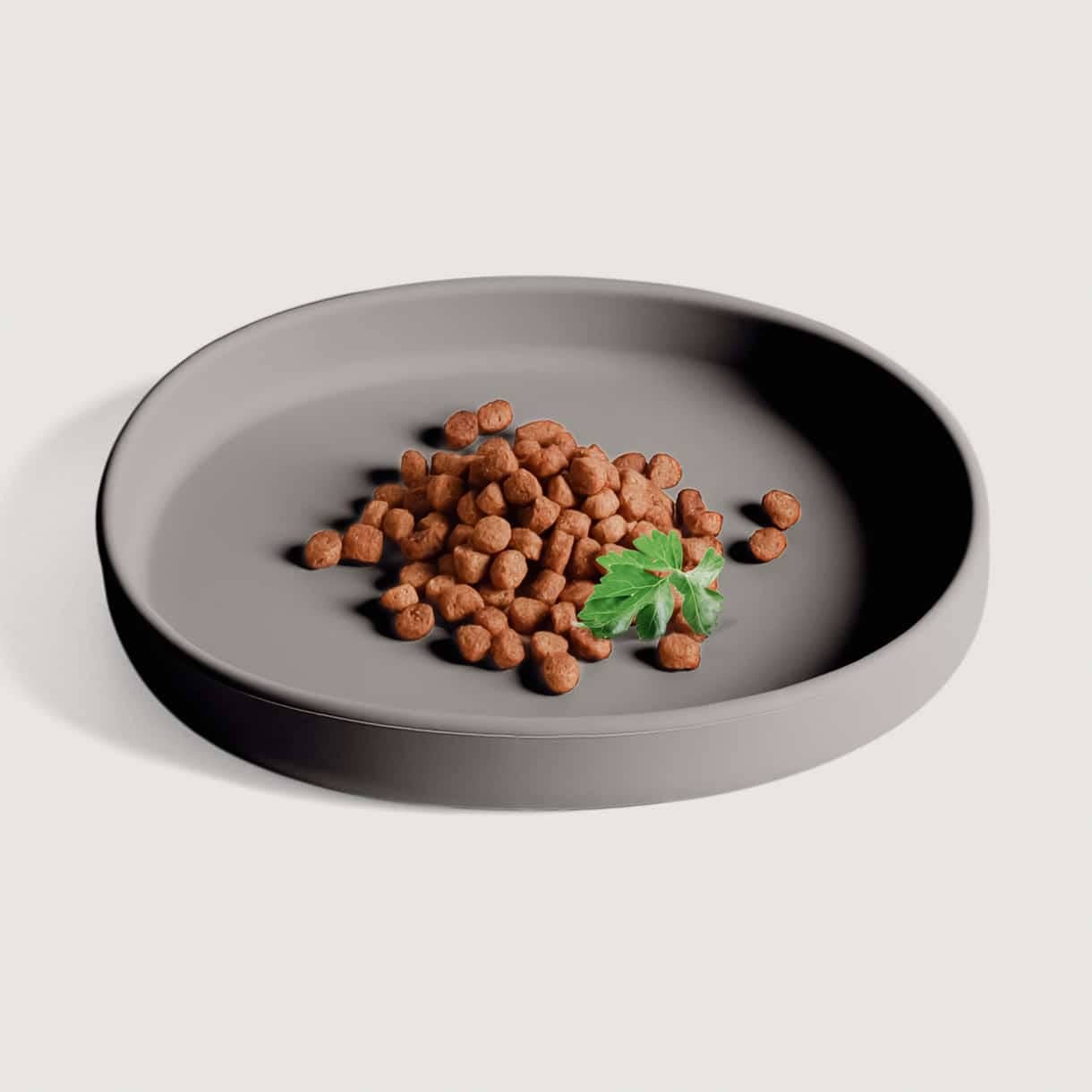 Gamelle plate en silicone