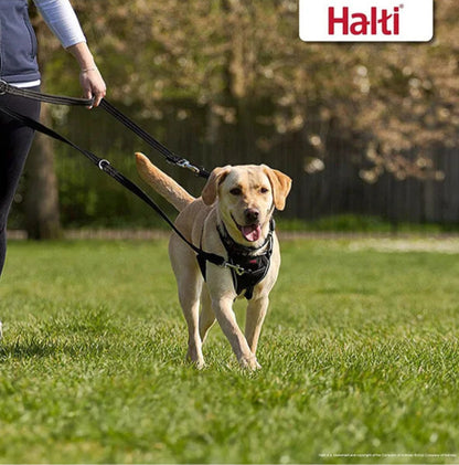 3-Position Dog Training Leash