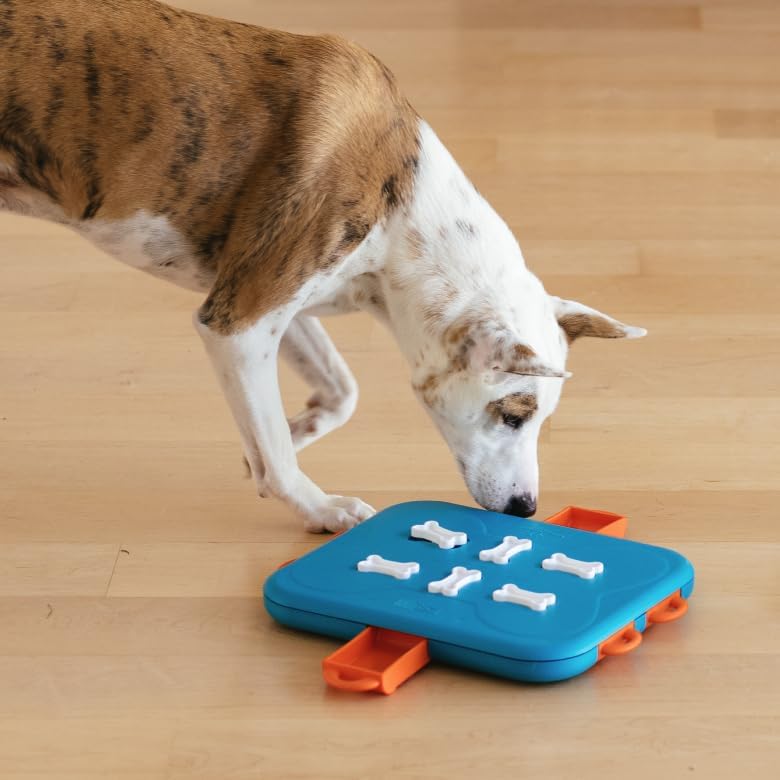 Dog Casino puzzle game level 3 for dogs