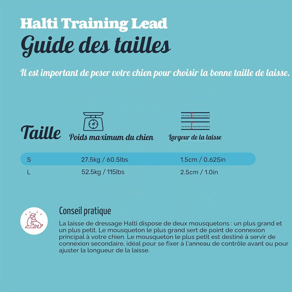 3-Position Dog Training Leash