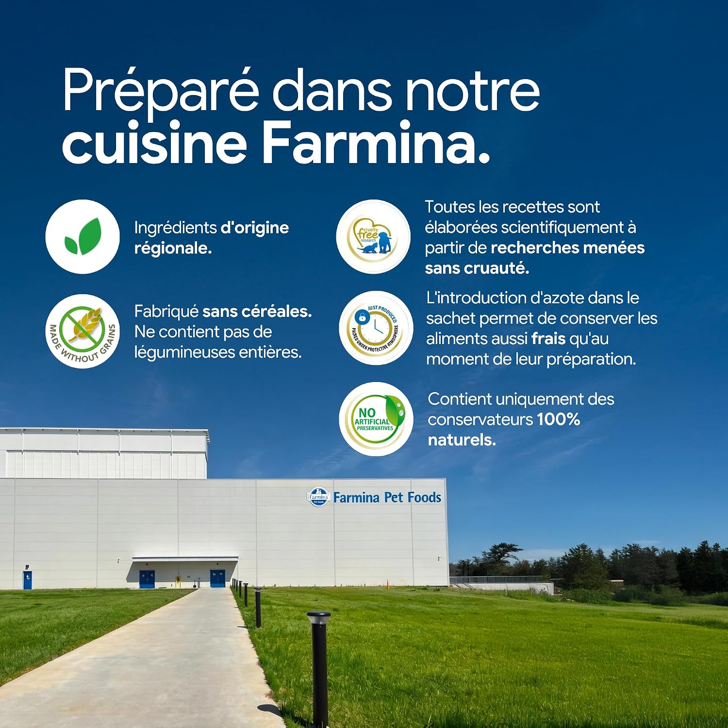 Croquettes canard et quinoa santé urinaire des chats adultes