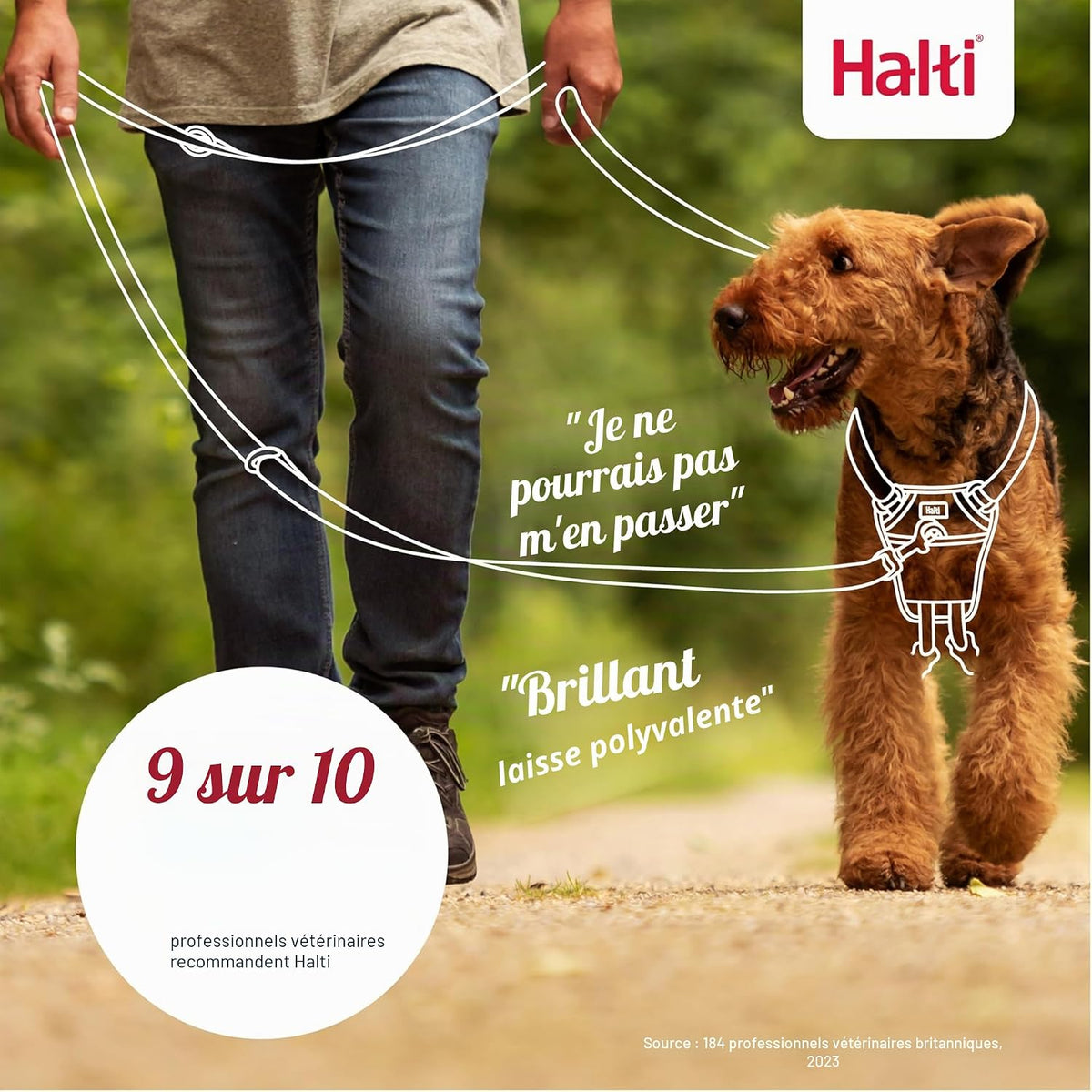 3-Position Dog Training Leash