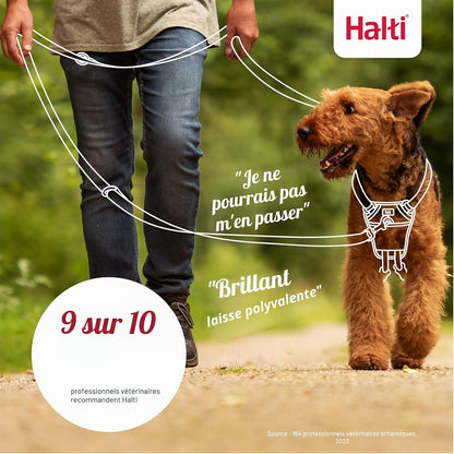 3-Position Dog Training Leash