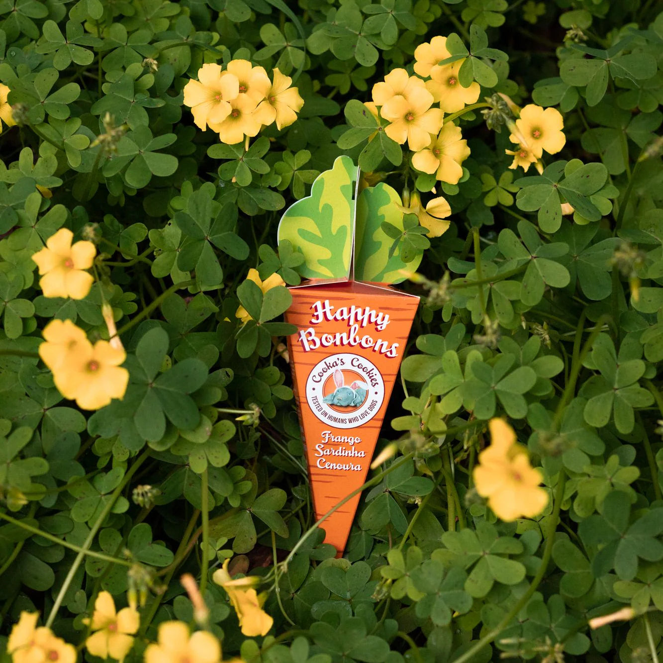 Friandises croquantes dinde et sardine