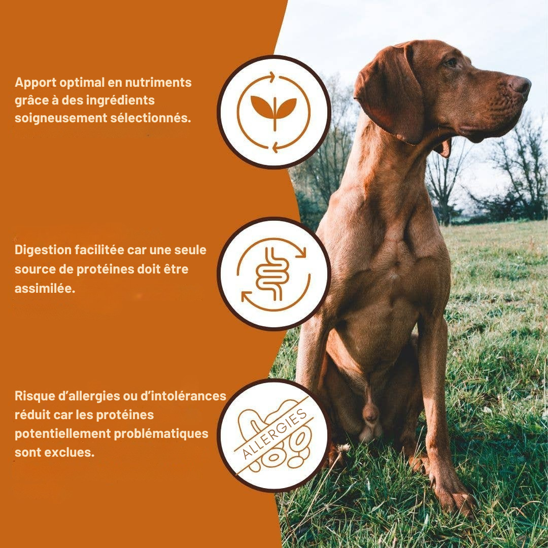 Pâté pur bœuf qualité BARF