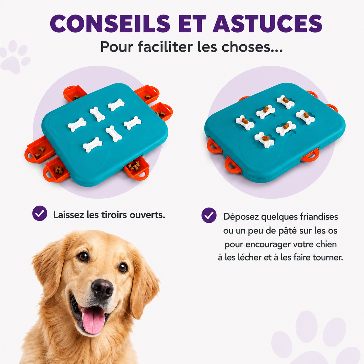Dog Casino puzzle game level 3 for dogs