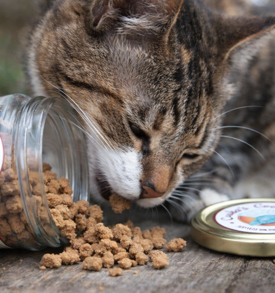 Dehydrated chicken crumble for dogs and cats