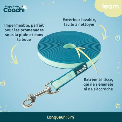 Waterproof long leash for puppies and small dogs