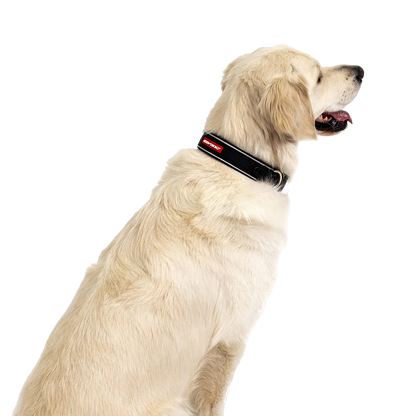 Collier Neo Classic en néoprène pour chiens