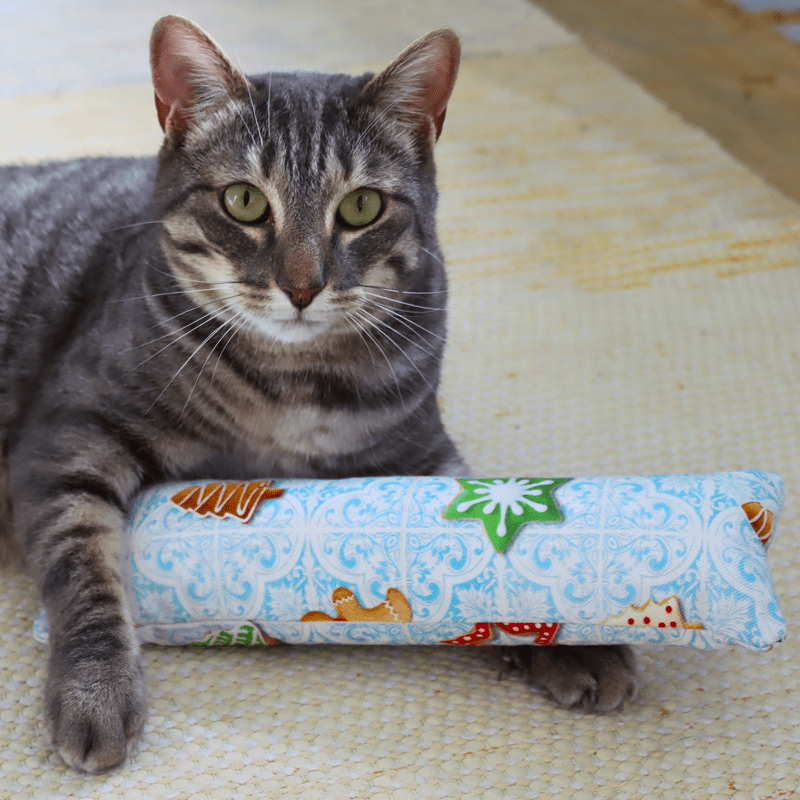 Catnip fabric cushion