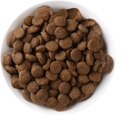 Quail and quinoa kibble for small adult dogs