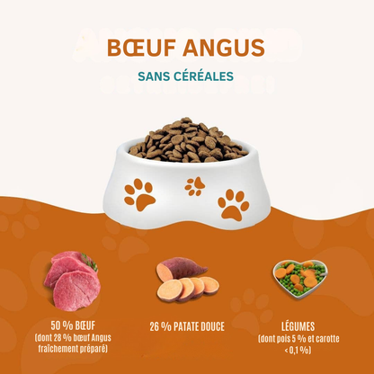 Croquettes au bœuf Angus pour chiens adultes