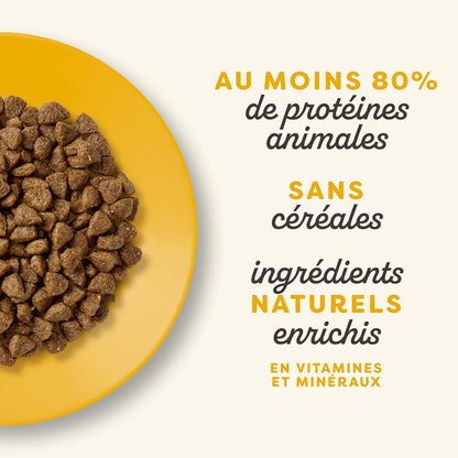 Croquettes au poulet pour chatons