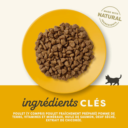 Croquettes au poulet pour chatons