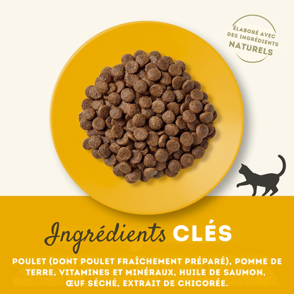Croquettes au poulet pour chats adultes