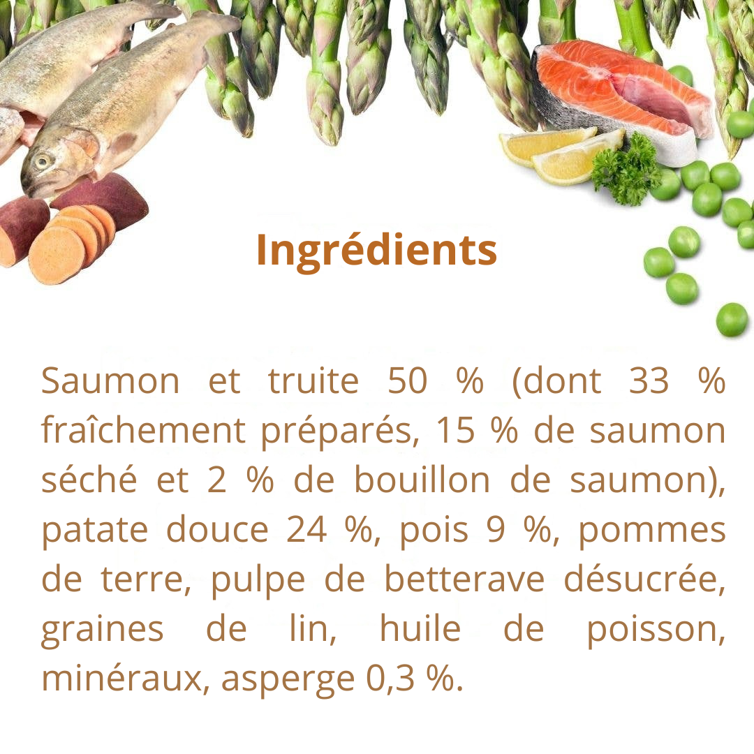 Croquettes au saumon et à la truite pour chiens adultes