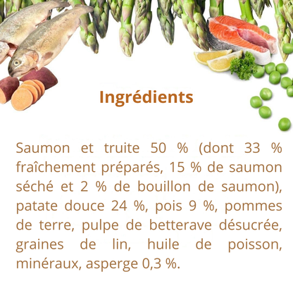 Croquettes au saumon et à la truite pour chiens adultes