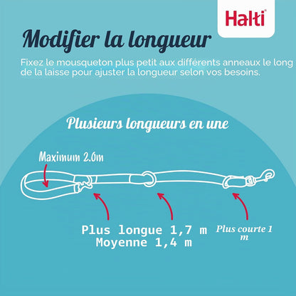 3-Position Dog Training Leash