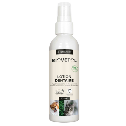 Dental lotion with organic plant-based active ingredients