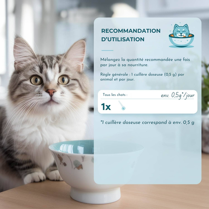 Poudre intestinale à base de plantes pour chats