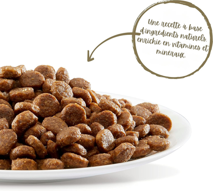 Croquettes au poulet pour chats seniors