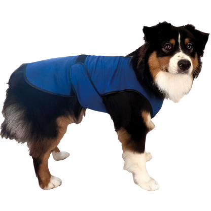 Veste rafraîchissante pour chiens