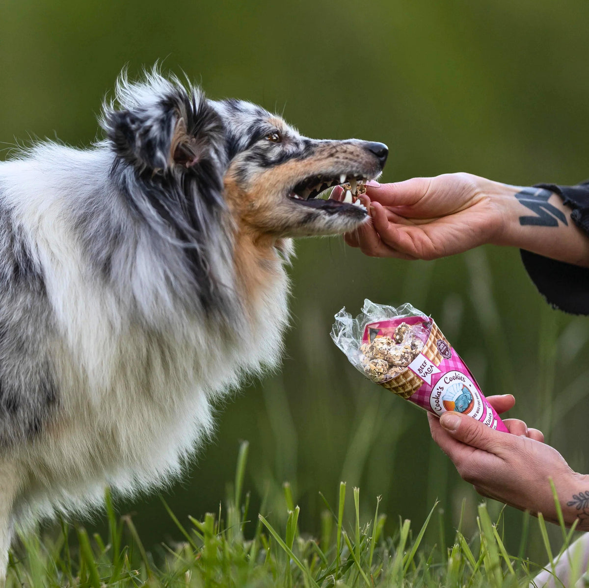 Crunchy Beef Dog Treat Cone